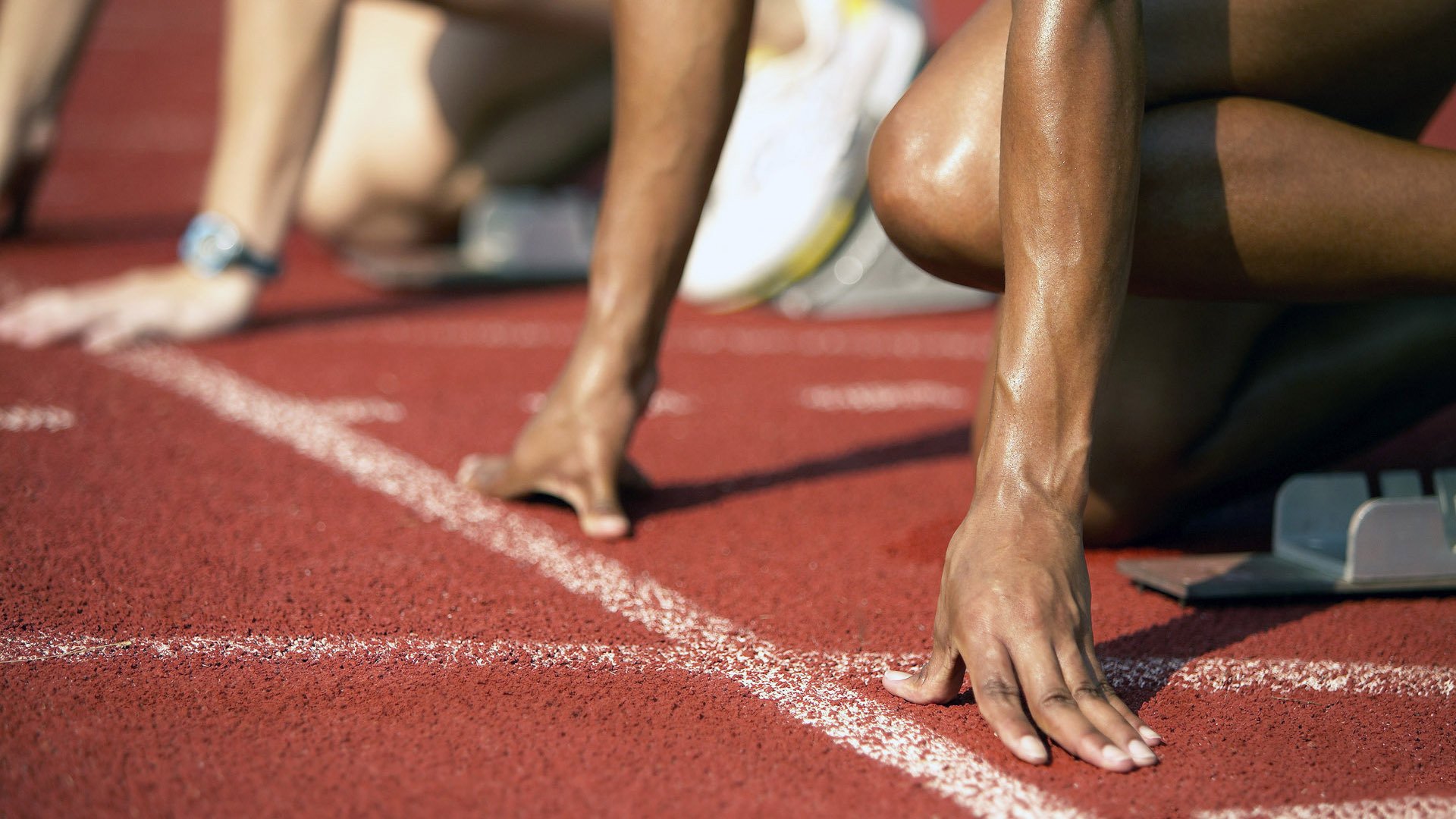 WRC赛事志:车手、团队与粉丝的故事,wrc参赛车队2020