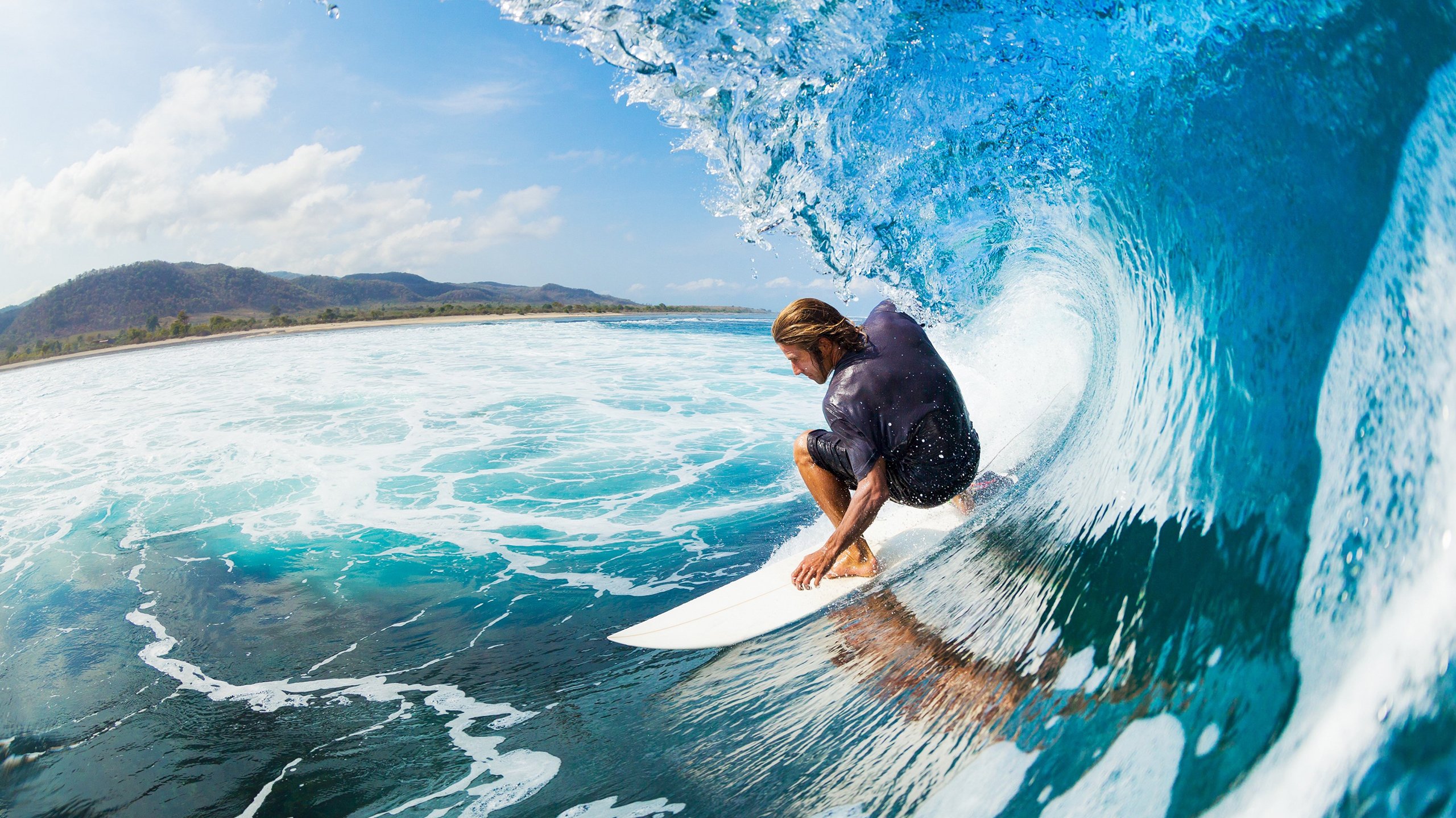 伊朗马术协会建立马匹基因数据库,促进马匹选育与训练。,伊朗马球